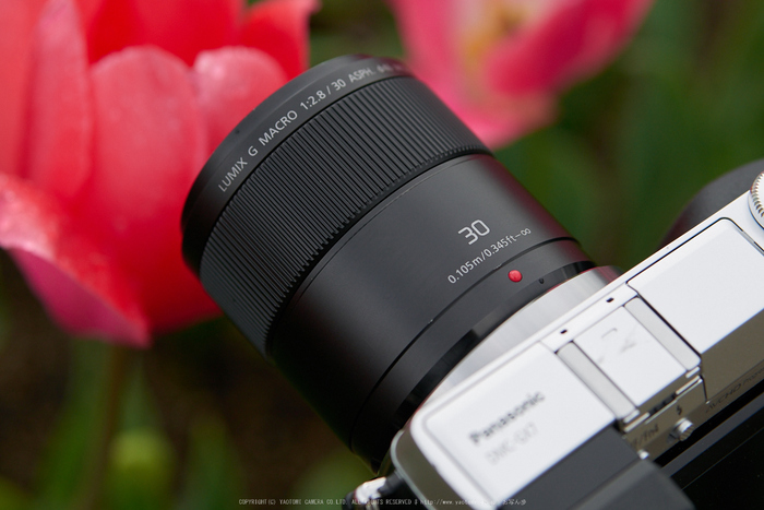 Panasonic LUMIX G MACRO 30mm f2.8